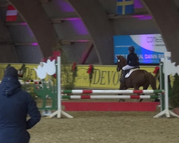 Reitturnier Essen-Stadtwald 2017