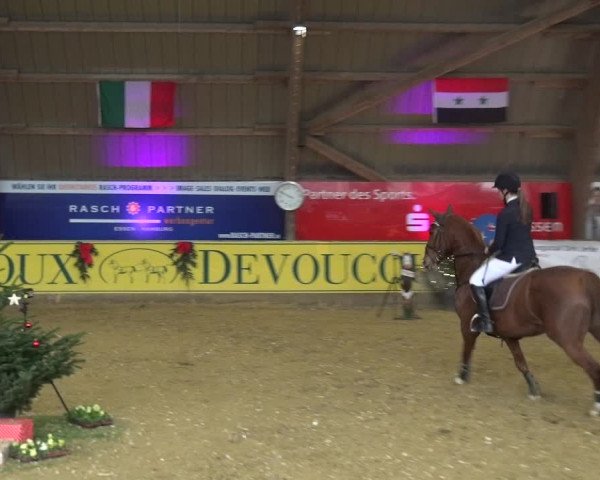 Reitturnier Essen-Stadtwald 2017