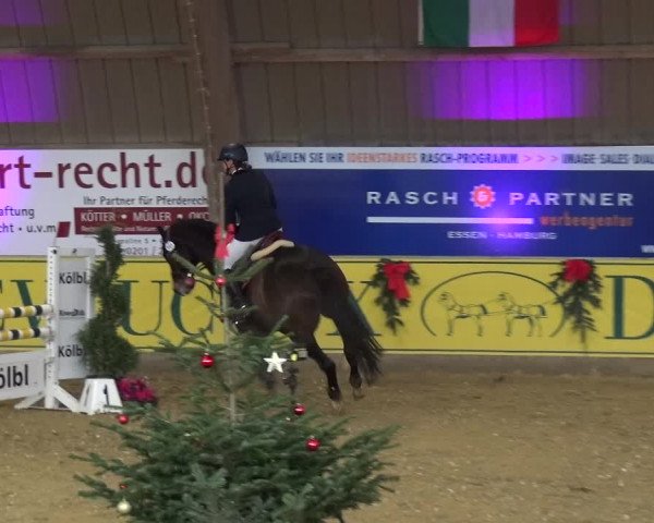 Reitturnier Essen-Stadtwald 2017