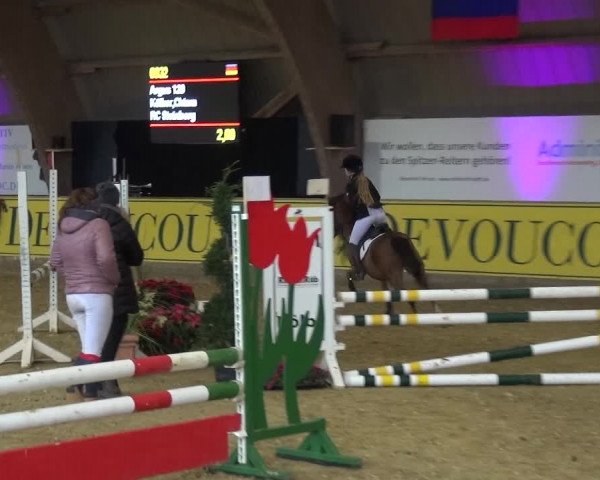 Reitturnier Essen-Stadtwald 2017