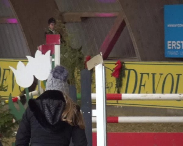 Reitturnier Essen-Stadtwald 2017