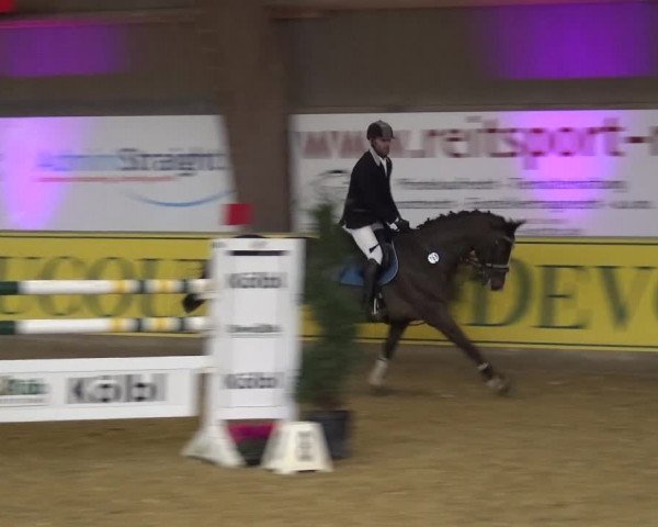 Reitturnier Essen-Stadtwald 2017