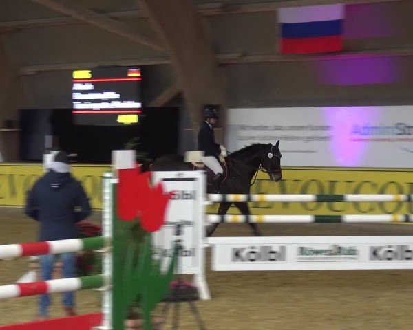 Reitturnier Essen-Stadtwald 2017