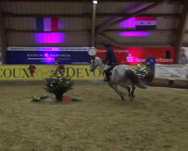 Reitturnier Essen-Stadtwald 2017