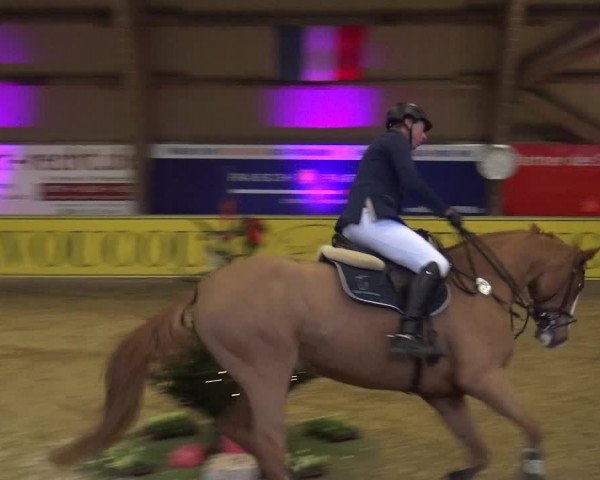 Reitturnier Essen-Stadtwald 2017