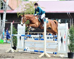 jumper Balous La Vie en Rose (Oldenburg, 2011, from Balou du Rouet)