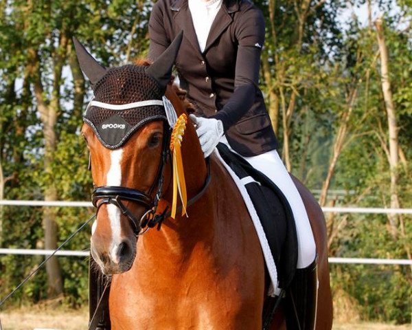broodmare Lissaro's Delorange WF (Westphalian, 2010, from Lissaro)