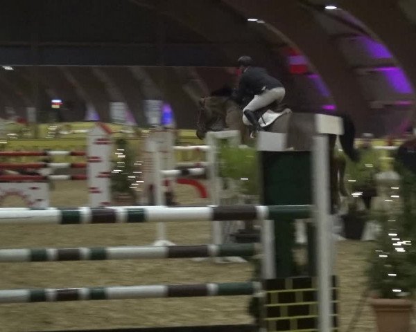Reitturnier Essen-Stadtwald 2017