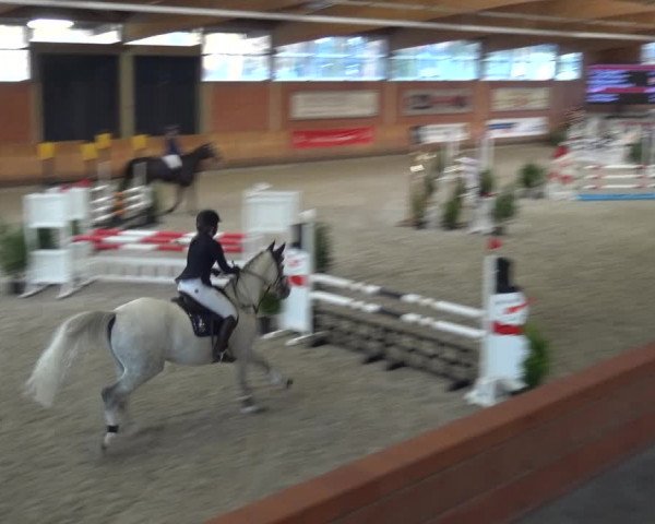 Reitturnier Mönchengladbach-Wickrath 2017
