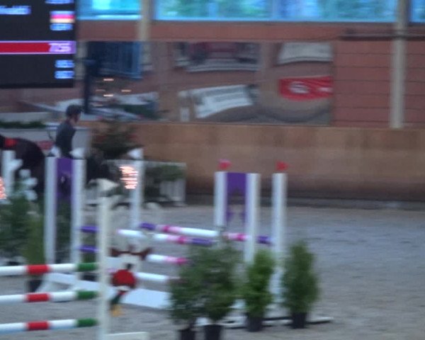 Reitturnier Mönchengladbach-Wickrath 2017