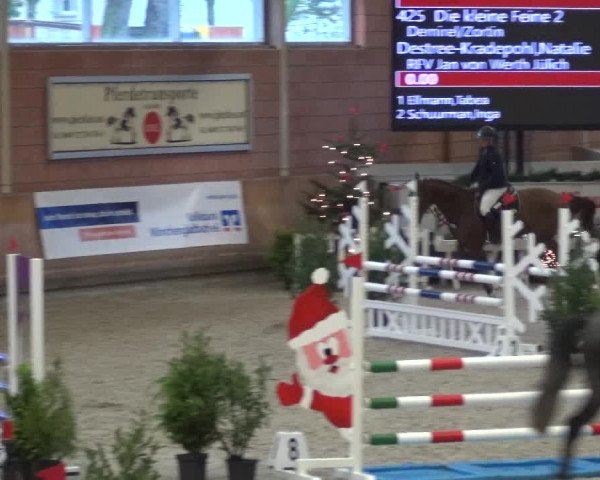 Reitturnier Mönchengladbach-Wickrath 2017