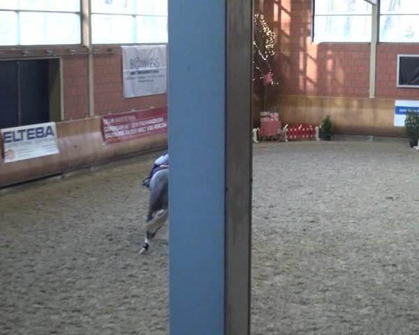 Reitturnier Mönchengladbach-Wickrath 2017