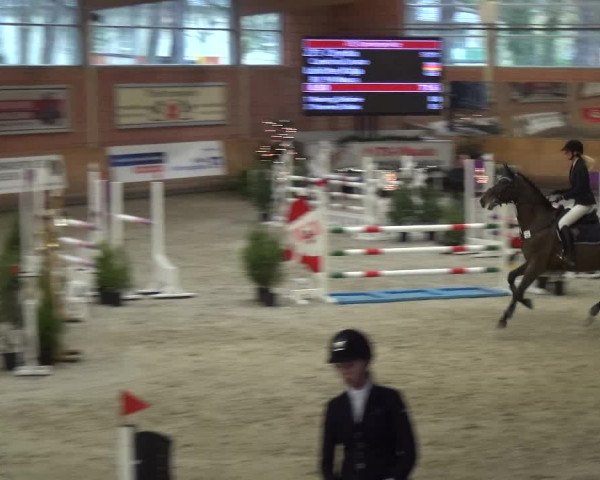 Reitturnier Mönchengladbach-Wickrath 2017