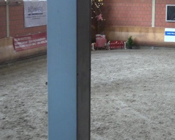 Reitturnier Mönchengladbach-Wickrath 2017