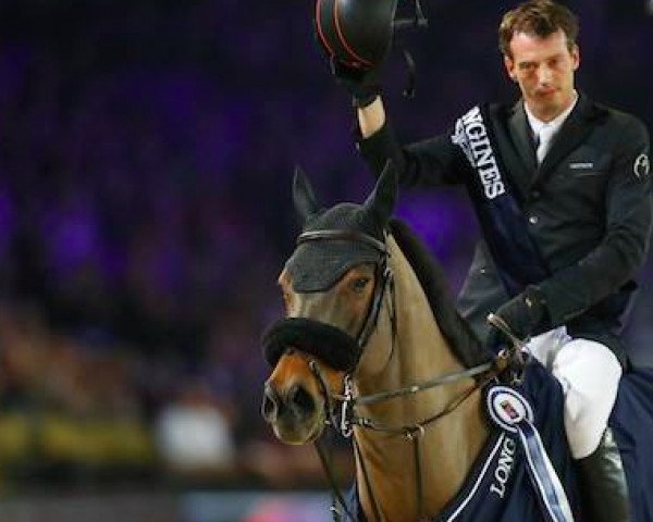 Springpferd Zinius (KWPN (Niederländisches Warmblut), 2004, von Nabab de Rêve)