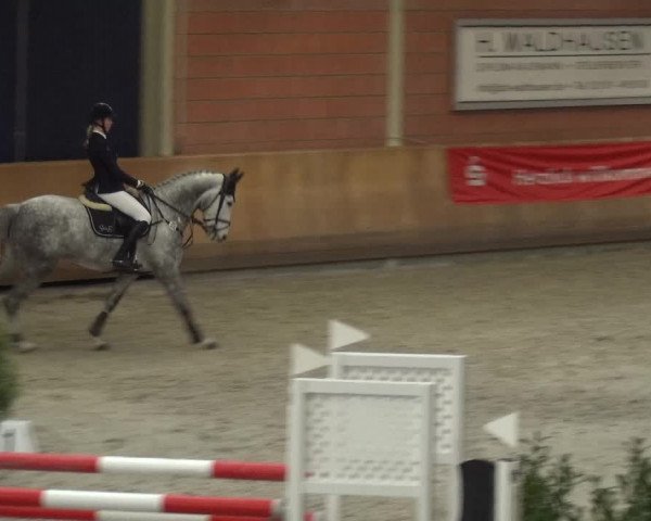 Reitturnier Mönchengladbach-Wickrath 2017