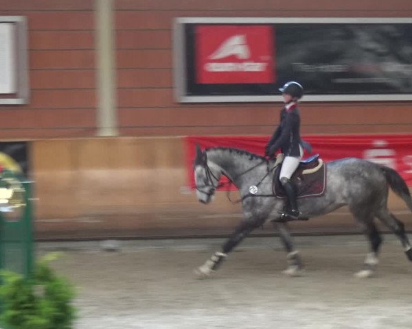 Reitturnier Mönchengladbach-Wickrath 2017