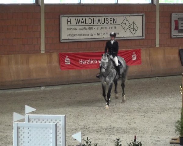 Reitturnier Mönchengladbach-Wickrath 2017