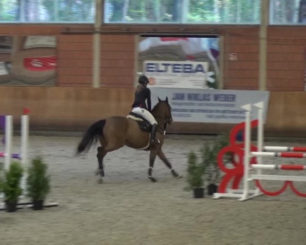 Reitturnier Mönchengladbach-Wickrath 2017