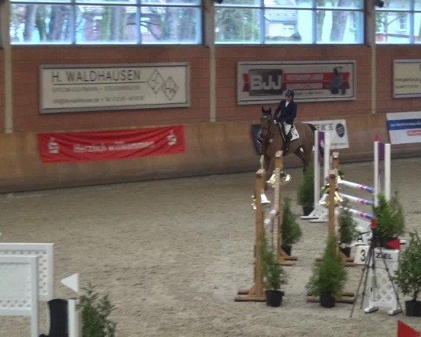 Reitturnier Mönchengladbach-Wickrath 2017