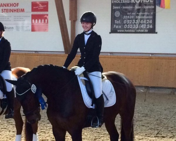 Dressurpferd Sir Leopold 3 (Oldenburger, 2010, von Sir Donnerhall II OLD)