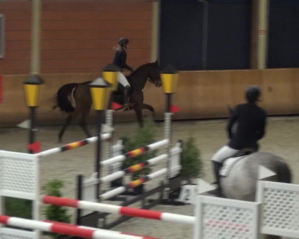 Reitturnier Mönchengladbach-Wickrath 2017