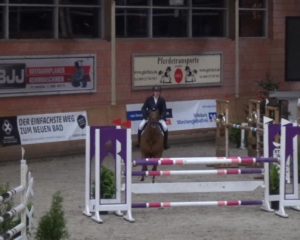 Reitturnier Mönchengladbach-Wickrath 2017