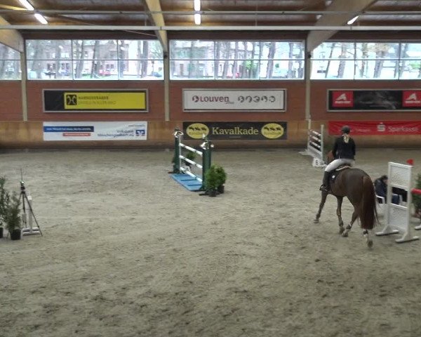 Reitturnier Mönchengladbach-Wickrath 2017