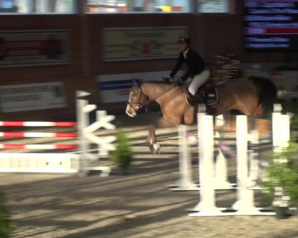 Reitturnier Mönchengladbach-Wickrath 2017