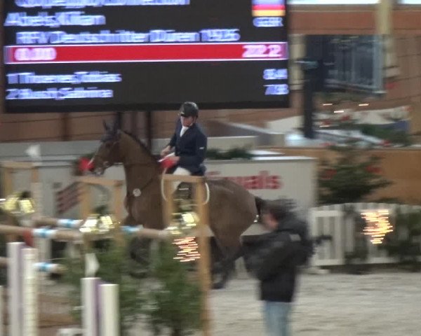 Reitturnier Mönchengladbach-Wickrath 2017