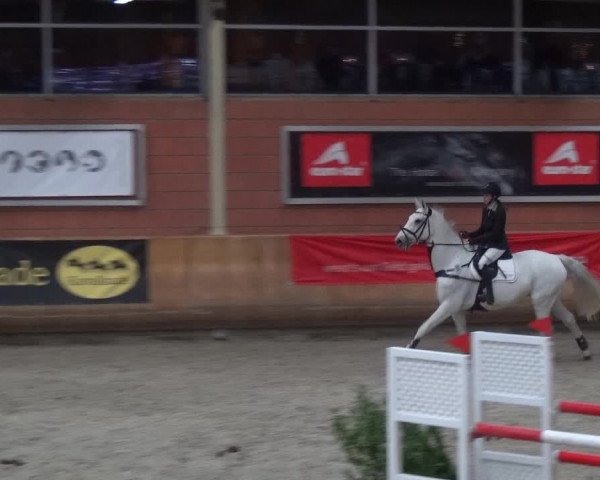 Reitturnier Mönchengladbach-Wickrath 2017