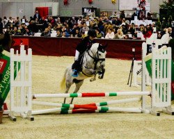 jumper Schneewitchen 31 (Pony without race description, 2007, from Poldy)