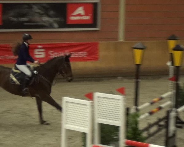 Reitturnier Mönchengladbach-Wickrath 2017