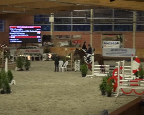 Reitturnier Mönchengladbach-Wickrath 2017