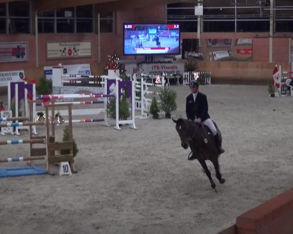 Reitturnier Mönchengladbach-Wickrath 2017