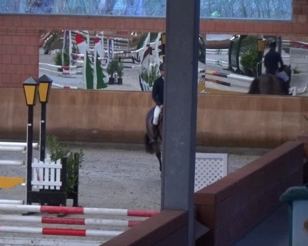 Reitturnier Mönchengladbach-Wickrath 2017