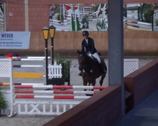 Reitturnier Mönchengladbach-Wickrath 2017