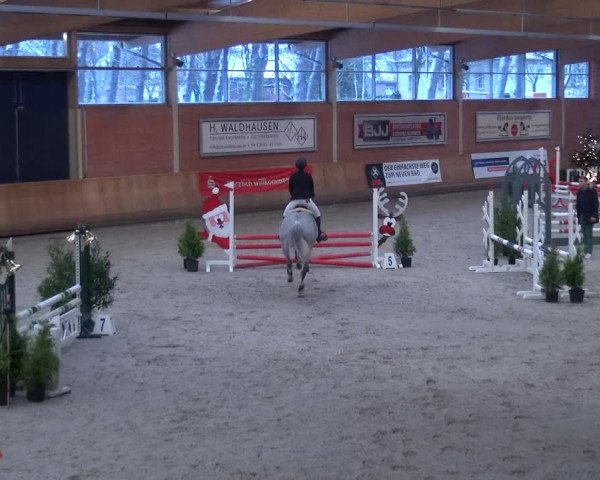 Reitturnier Mönchengladbach-Wickrath 2017