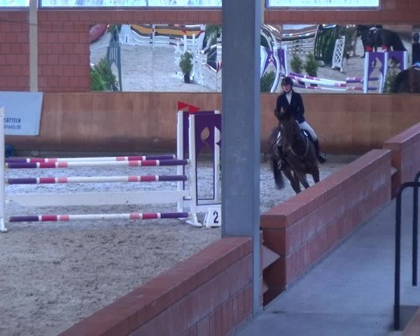 Reitturnier Mönchengladbach-Wickrath 2017