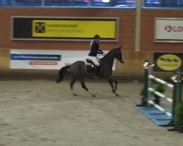 Reitturnier Mönchengladbach-Wickrath 2017