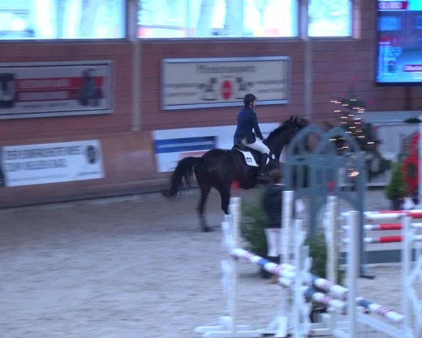 Reitturnier Mönchengladbach-Wickrath 2017