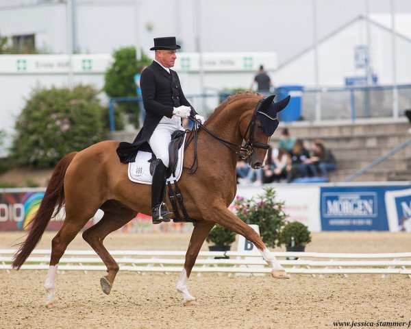 dressage horse Harmony's Royal Dancer (Hanoverian, 2006, from Royal Blend)