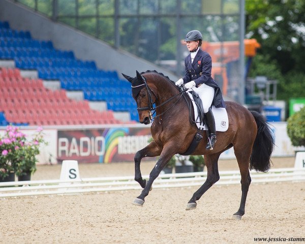 dressage horse Romy del Sol (Westphalian, 2006, from Blue Hors Romanov)