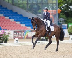 dressage horse Romy del Sol (Westphalian, 2006, from Blue Hors Romanov)