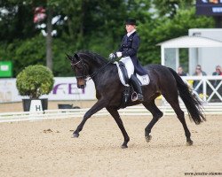 broodmare Rania M (Hanoverian, 2005, from Rubin Royal OLD)
