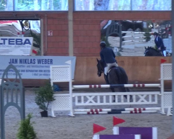 Reitturnier Mönchengladbach-Wickrath 2017