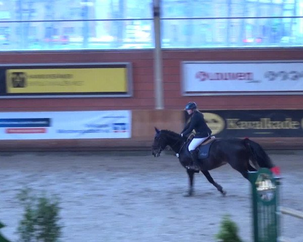 Reitturnier Mönchengladbach-Wickrath 2017