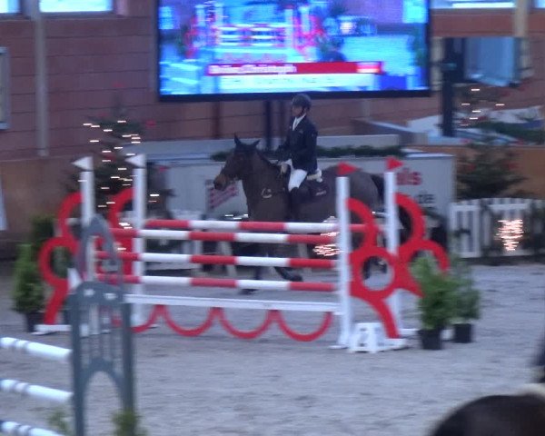 Reitturnier Mönchengladbach-Wickrath 2017