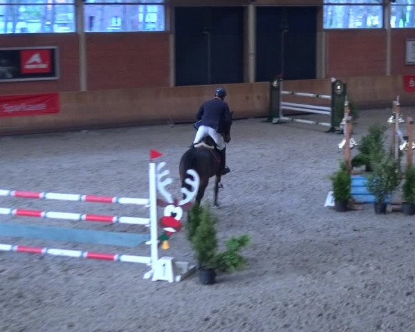 Reitturnier Mönchengladbach-Wickrath 2017
