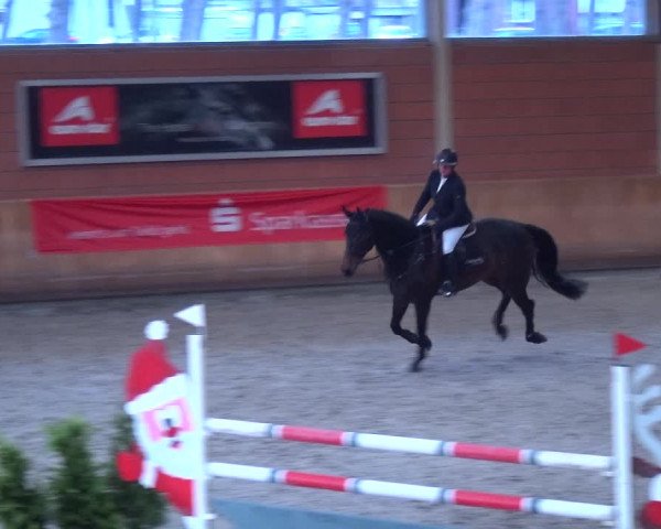 Reitturnier Mönchengladbach-Wickrath 2017